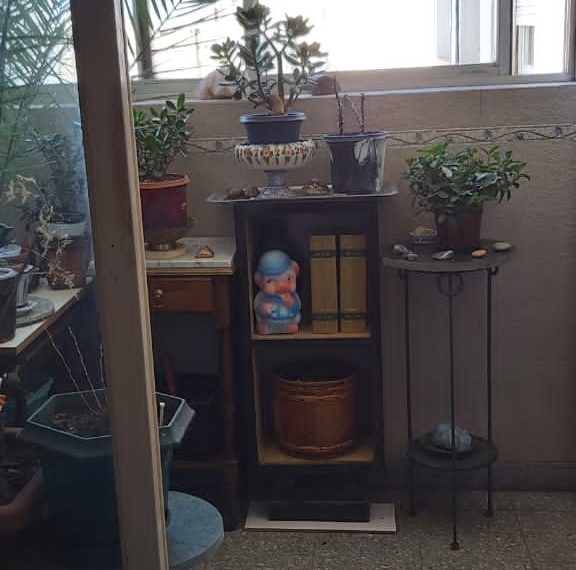 PHOTO-2020-11-27-12-17-34_2