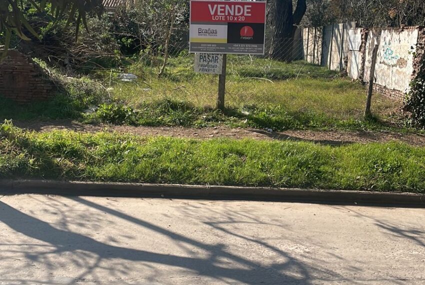 WhatsApp Image 2023-08-01 at 11.53.02