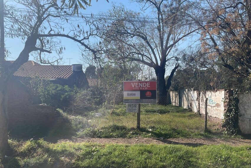 WhatsApp Image 2023-08-01 at 11.53.03